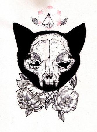 Череп кошки