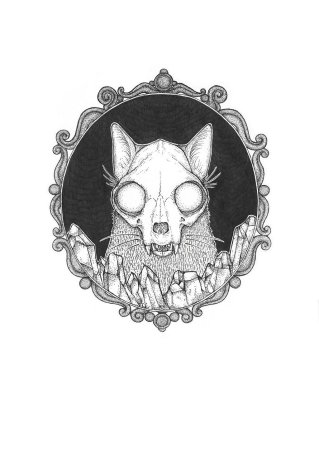 Череп кошки