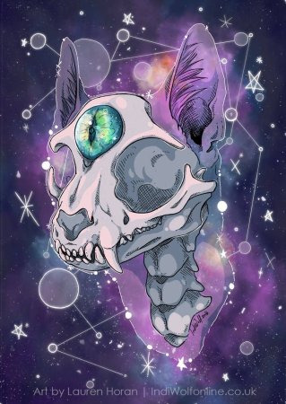 Череп кошки арты