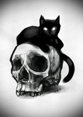 Скелет кошки арт