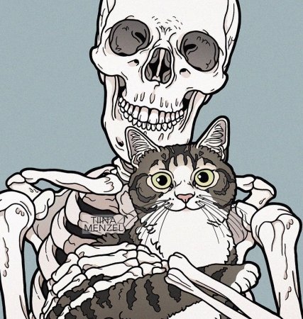 Череп кошки
