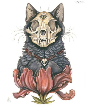 Кошачий череп эскиз