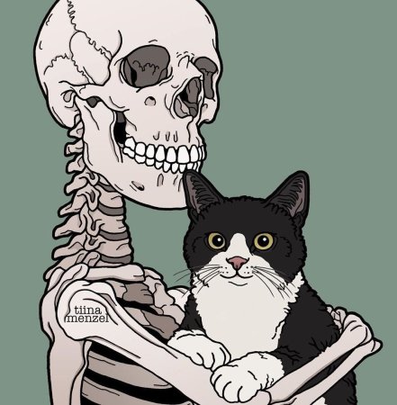 Череп кота скетч