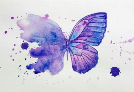 Бабочка арт