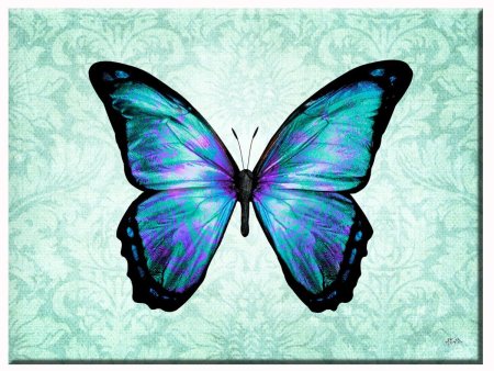 Красивая бабочка арт