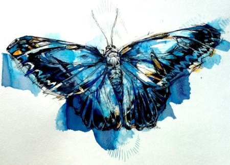 Бабочка арт