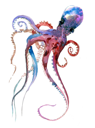 Осьминог арт