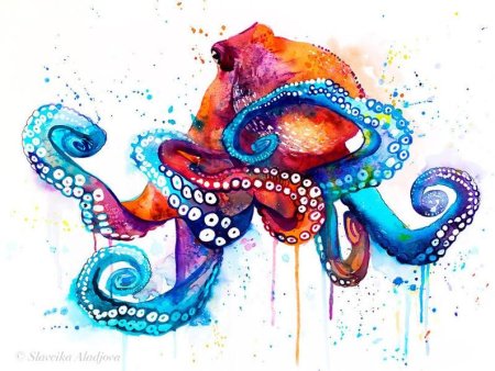 Осьминог стилизация