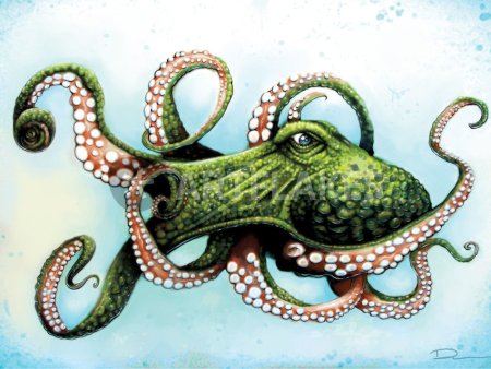 Разноцветный осьминог