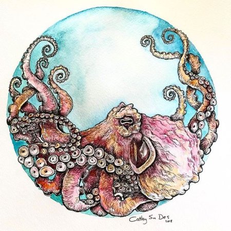 Осьминог акварель