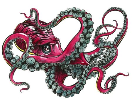 Осьминог Кракен осьминог Tattoo