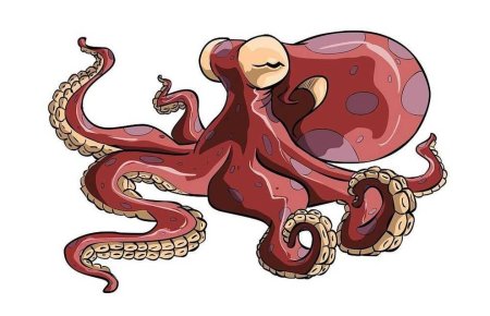 Осьминог аниме