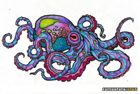 Осьминог эскиз цветной