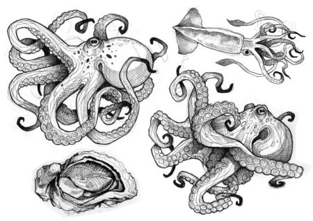 Осьминог эскиз Татуировки
