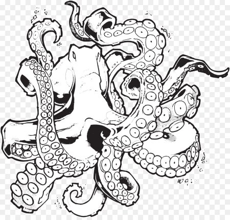 Осьминог Графика