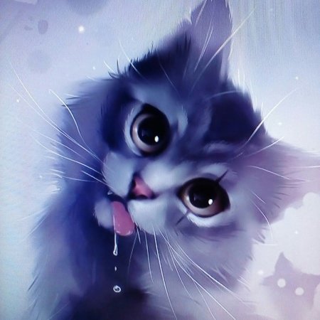 Котенок арт