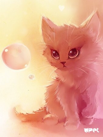 Кавайные котики