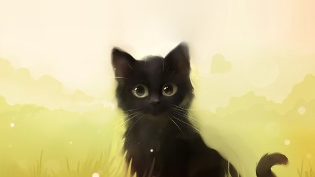 Рихардс Донскис Чеширский кот