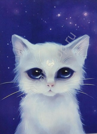 Котики арты милые