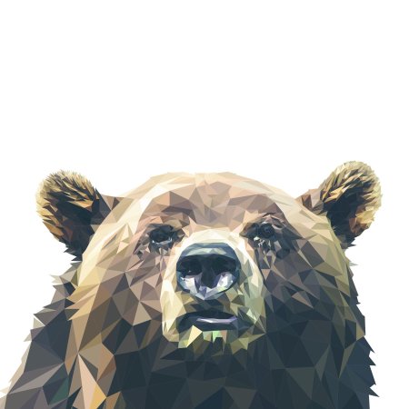 Морда медведя арт
