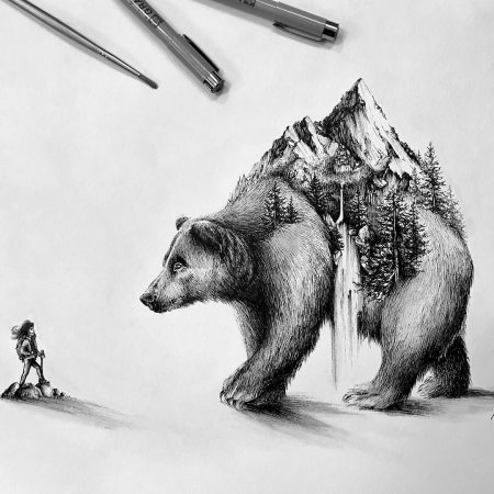 Медведь в графике