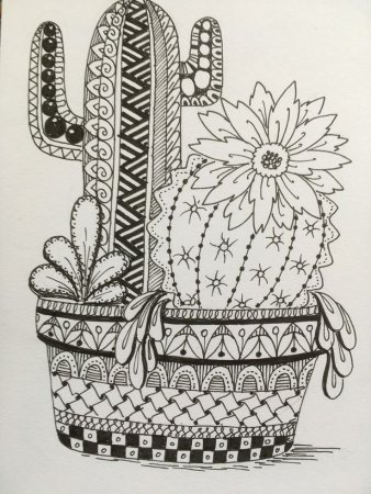 Дудлинг кактусы