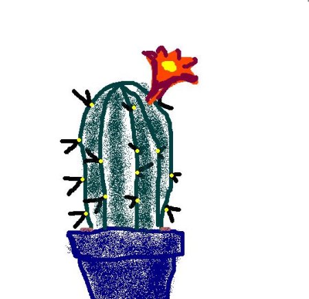 М А Панфилова Кактус