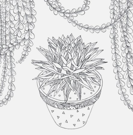 Раскраска Cactus Party