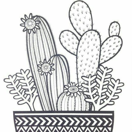 Раскраски кактусы красивые
