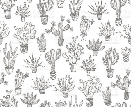 Принт черно белый кактусы