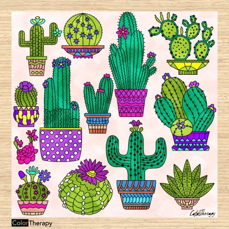 Кактус фломастерами