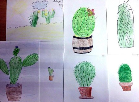 Методика Кактус Панфилова