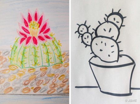 Проективная методика Панфиловой Кактус