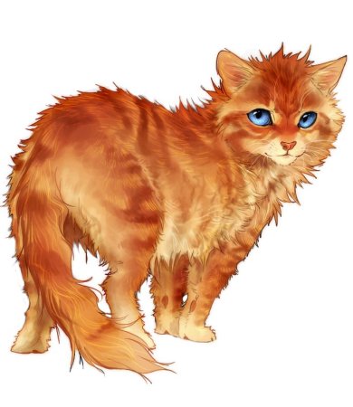 Рыжий кот арт коты Воители