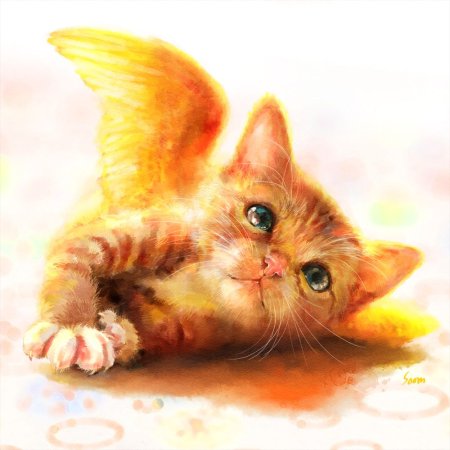 Рыжий котёнок