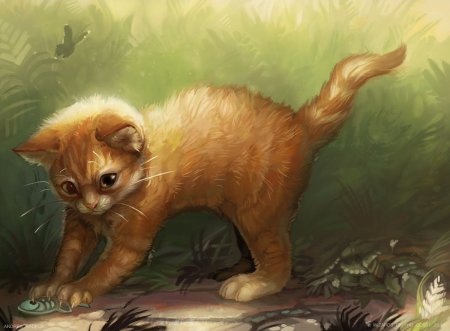 Рыжие коты Воители