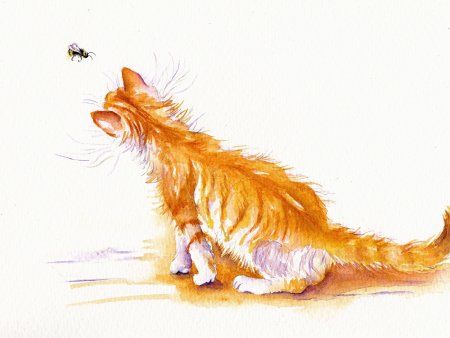 Кошка акварелью для детей