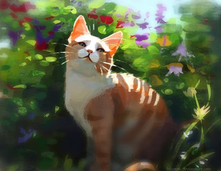 Рыжие коты арт