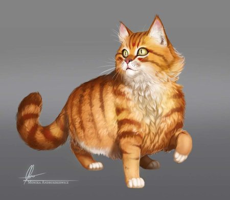 Рыжий котик арт