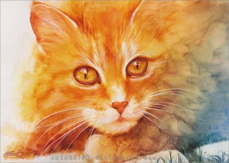 Аврора Винхольд картины