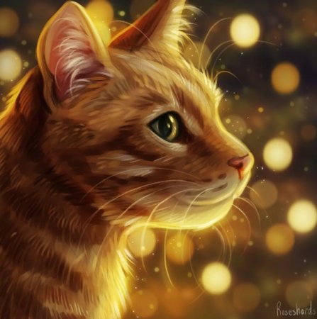 Рыжий кот аниме