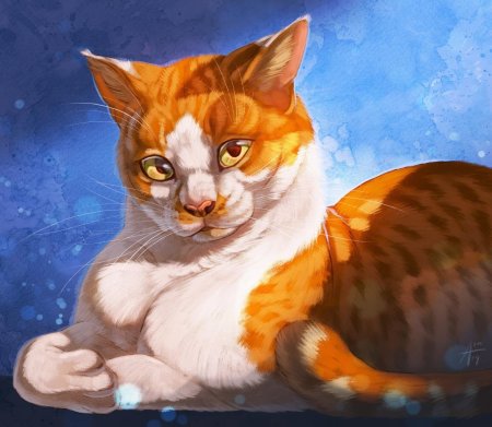 Коты Воители рыже белый кот