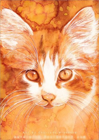 Aurora Wienhold картины