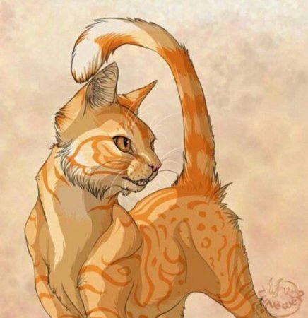 Коты Воители веснушка