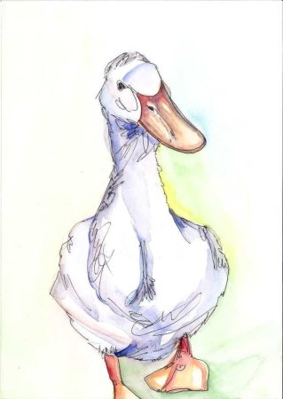 Рисование гуся