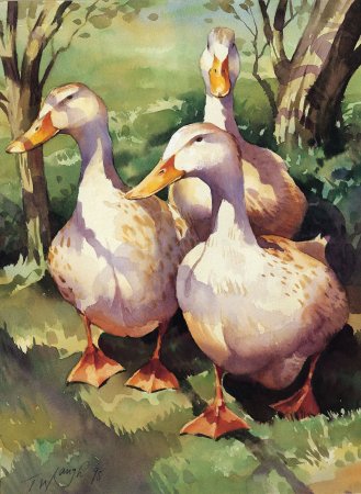 Гусь акварелью
