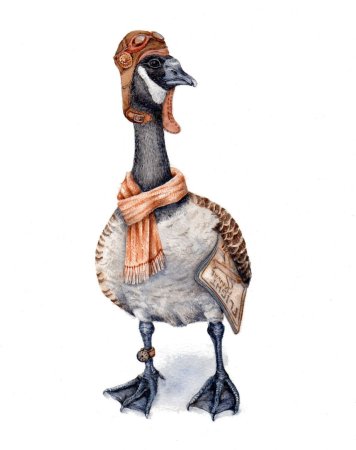 Гусь акварелью