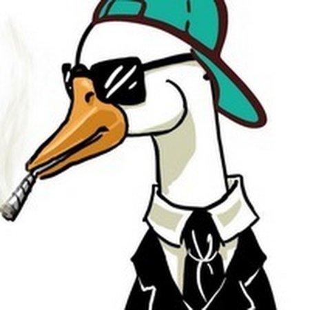 Гусь в кепке