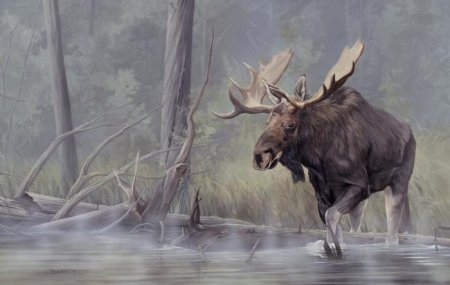 Реалистичная картина с лосем