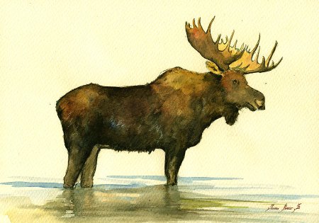 Лось красками